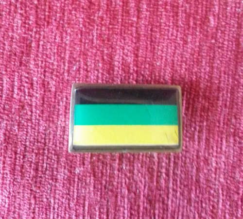 ANC Lapel Badge