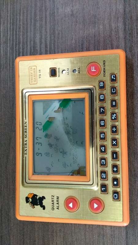 Thief in Garden vintage console game