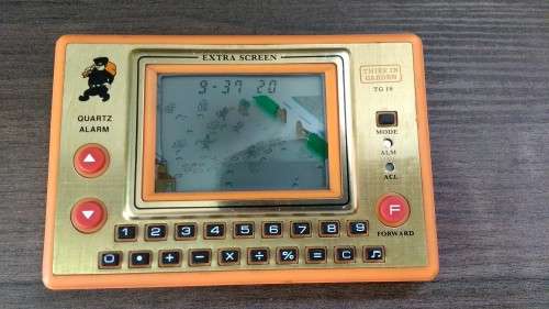 Thief in Garden vintage console game