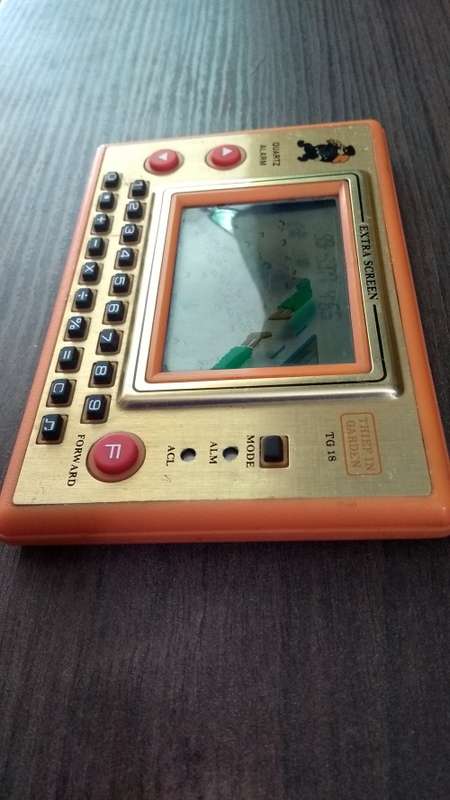 Thief in Garden vintage console game