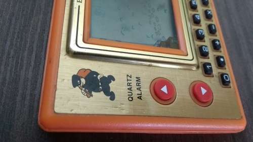 Thief in Garden vintage console game