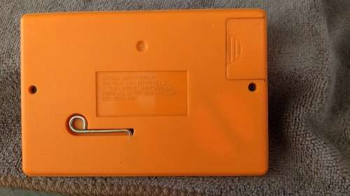 Thief in Garden vintage console game