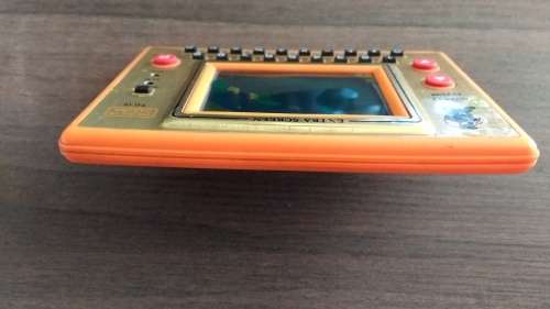 Thief in Garden vintage console game