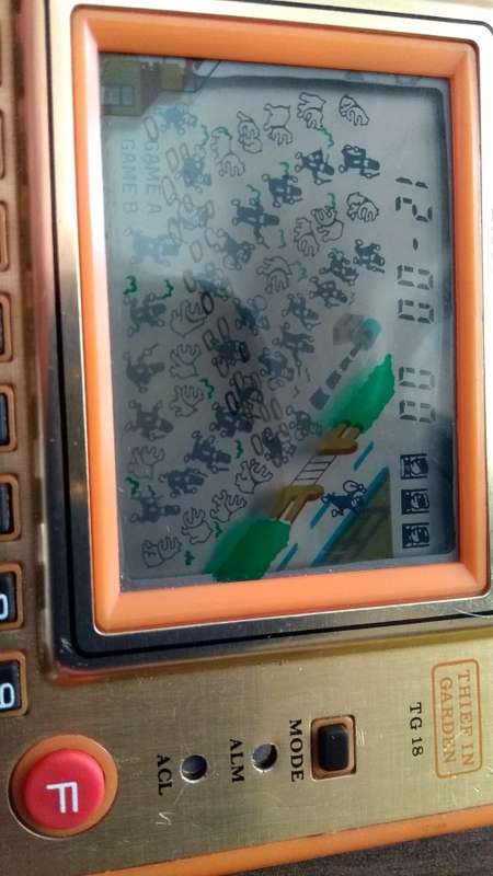 Thief in Garden vintage console game