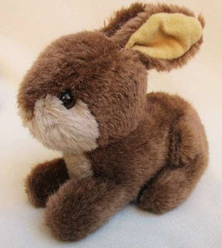 A SWEET LITTLE BUNNY RABBIT!!
