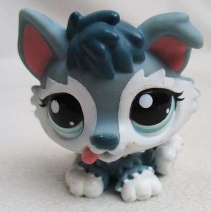 CUTE HASBRO LITTLEST PET SHOP CAT!!