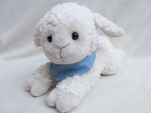 A SWEET, SOFT, CLEAN LAMB!!