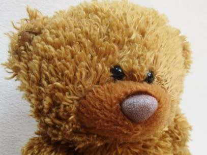 A CUTE LITTLE BROWN NOSED BEAR WITH REXINE PAW PADS!!