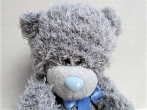 A LARGER TATTY TEDDY  (ME TO YOU) - WITH BLUE BOW!!