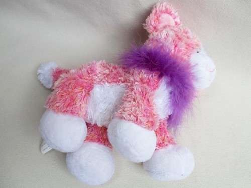 PRETTY ANIMAL ALLEY KITTY CAT!!