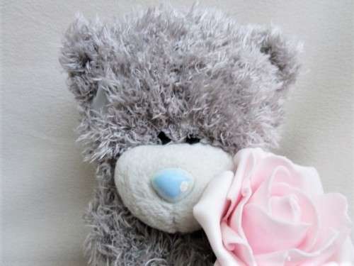A LARGER TATTY TEDDY  (ME TO YOU) - HOLDING A PRETTY PINK ROSE!!