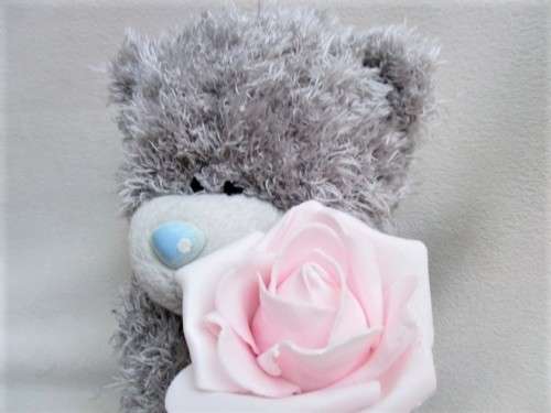A LARGER TATTY TEDDY  (ME TO YOU) - HOLDING A PRETTY PINK ROSE!!