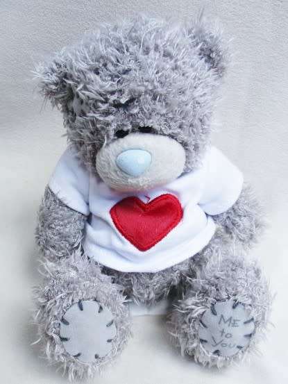 CUTE TATTY TEDDY  (ME TO YOU) WEARING A CUTE T SHIRT!!