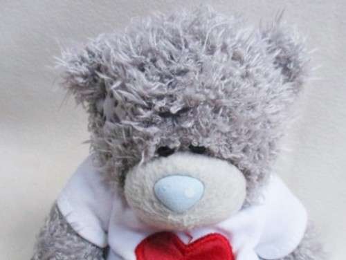 CUTE TATTY TEDDY  (ME TO YOU) WEARING A CUTE T SHIRT!!