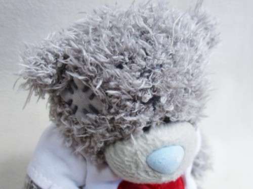 CUTE TATTY TEDDY  (ME TO YOU) WEARING A CUTE T SHIRT!!