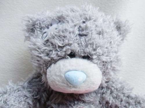 CUTE TATTY TEDDY  (ME TO YOU) HOLDING A 'SOMEONE SPECIAL' BANNER!!