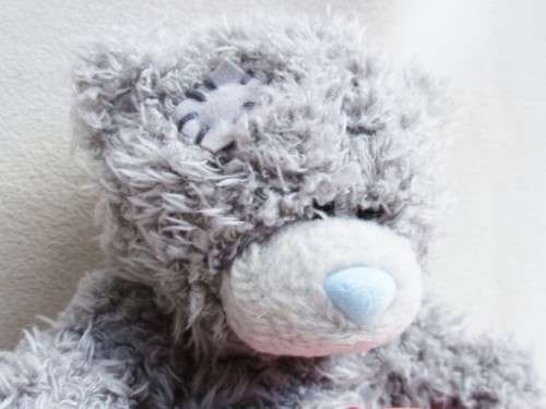 CUTE TATTY TEDDY  (ME TO YOU) HOLDING A 'SOMEONE SPECIAL' BANNER!!