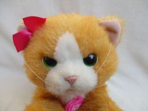 THIS IS DAISY - THE HASBRO FUR REAL PLAYS-WITH-ME KITTY IN GREAT WORKING CONDITION