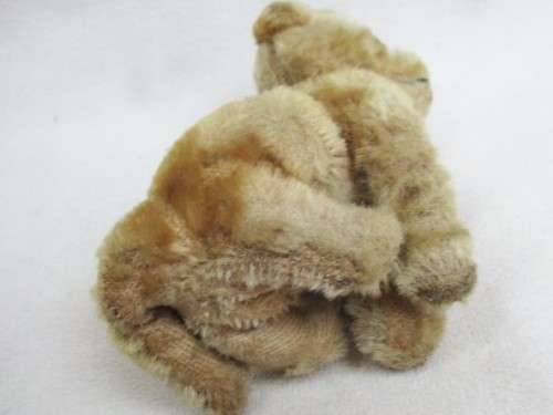 A SMALL VINTAGE STRAW STUFFED MOHAIR CAT WITH GLASS EYES AND SWIVEL HEAD - STEIFF?