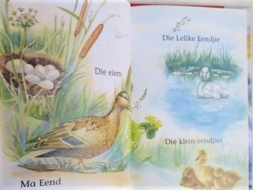 DRIE LADYBIRD EN DRIE FANTASI SELF LEES BOEKIES