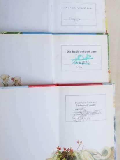 DRIE LADYBIRD EN DRIE FANTASI SELF LEES BOEKIES
