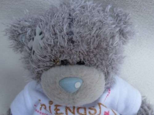 CUTE TATTY TEDDY  (ME TO YOU) WEARING A CUTE 'FRIENDS ALWAYS' T SHIRT!!