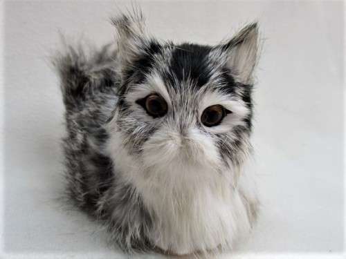THE CUTEST TINY CAT MADE FROM ARTIFICIAL 'REAL FUR'