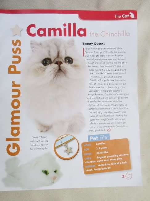 CAMILLA THE CHINCHILLA - ORIGINAL 'THE CAT ARTIST COLLECTION' (ACCEPT NO COPYCATS) PLUS ORIGINAL MAG