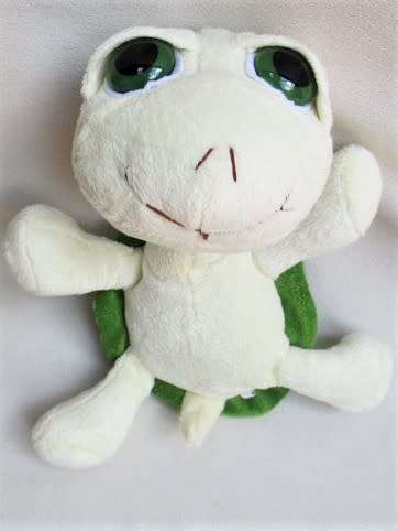 A SAD-EYED TURTLE