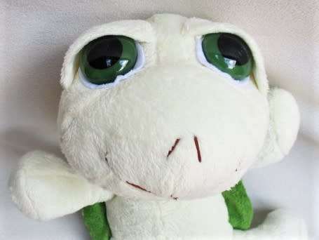 A SAD-EYED TURTLE