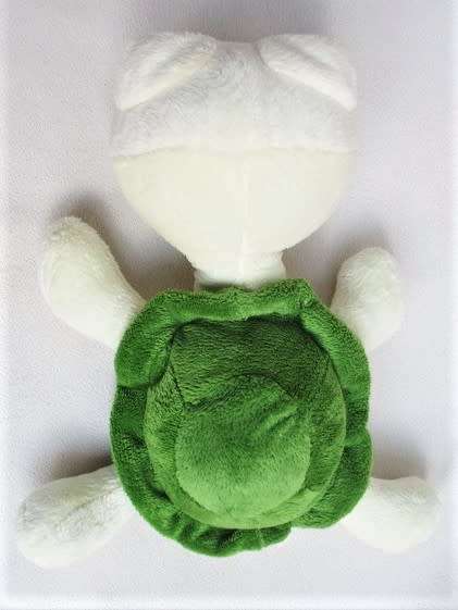 A SAD-EYED TURTLE