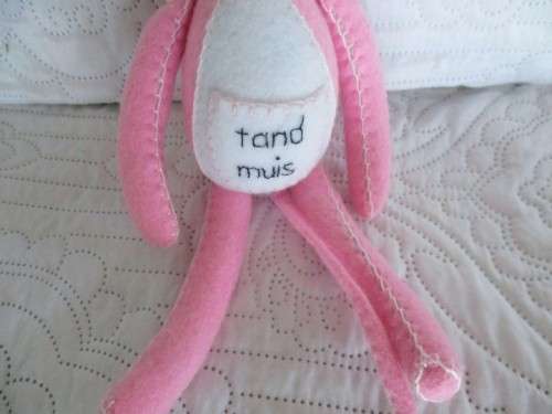 'N OULIKE PIENK TANDMUIS!!