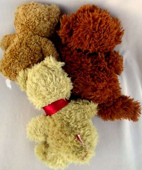 A BUNCH OF TEN NICE-SIZED, SOFT, CLEAN TEDDY BEARS