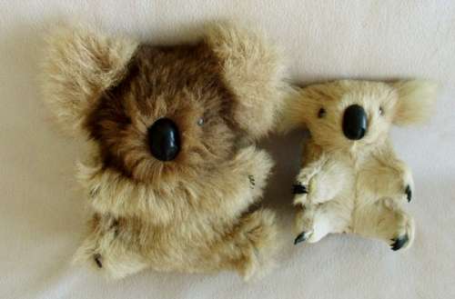 TWO RATHER SPECIAL KOALA BEARS