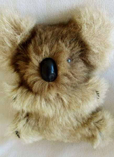 TWO RATHER SPECIAL KOALA BEARS