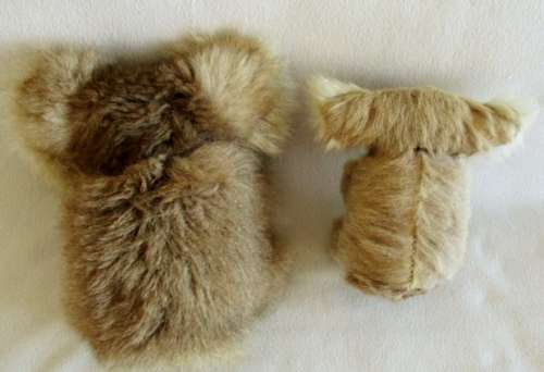 TWO RATHER SPECIAL KOALA BEARS