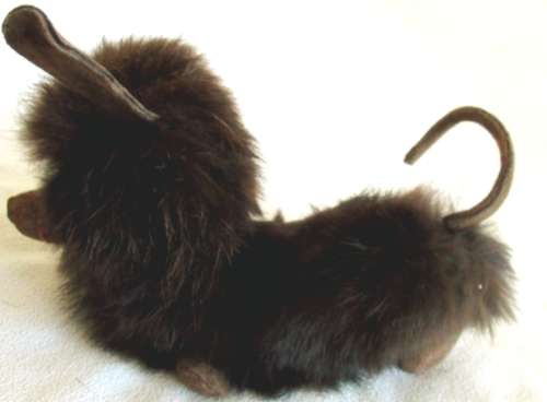 THE SWEETEST LITTLE VINTAGE DACHSHUND - SOFT AND FURRY