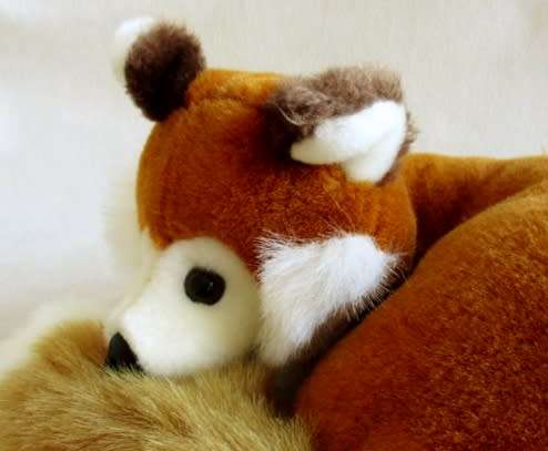JUST LOVE THIS FOX TOWN, SWITZERLAND WINKING FOX!!
