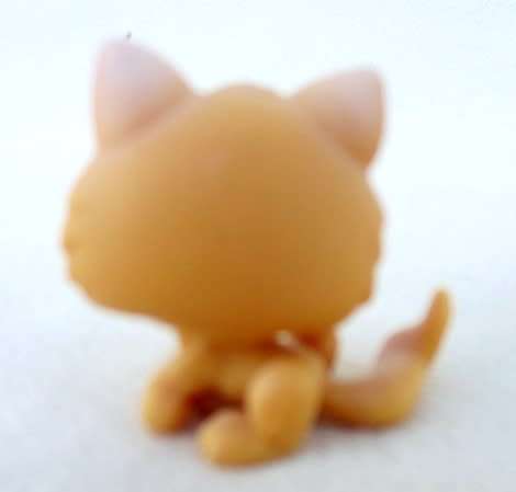 NO M - CUTE  LITTLEST PET SHOP CAT
