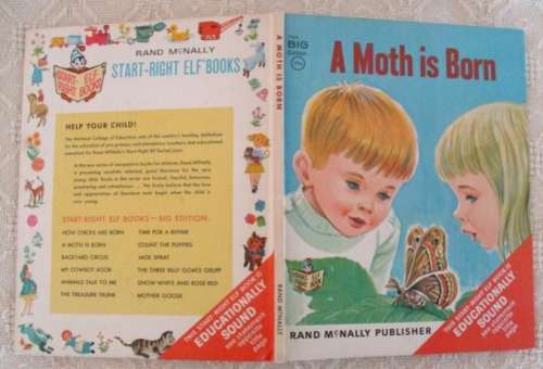1967 HARDCOVER - A COLLECTABLE AND EDUCATIONAL BOOK - A MOTH IS BORN