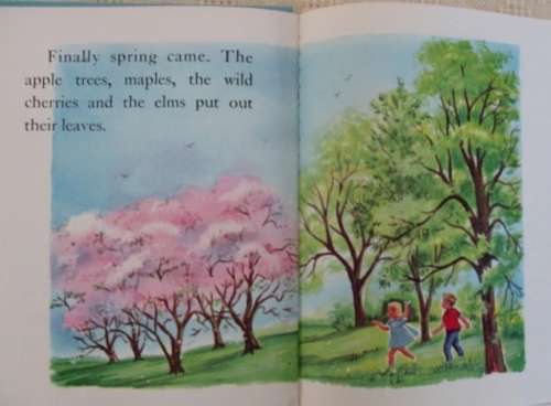 1967 HARDCOVER - A COLLECTABLE AND EDUCATIONAL BOOK - A MOTH IS BORN