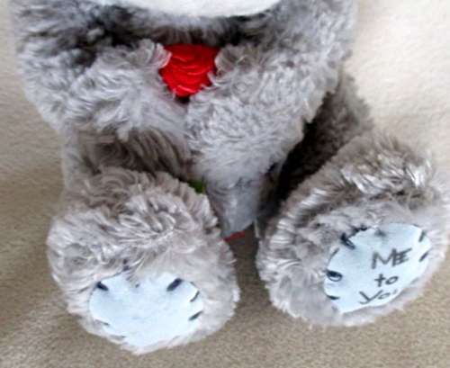 CUTE TATTY TEDDY  (ME TO YOU) HOLDING A TINY RED ROSE!!