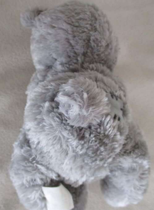 CUTE TATTY TEDDY  (ME TO YOU) HOLDING A TINY RED ROSE!!