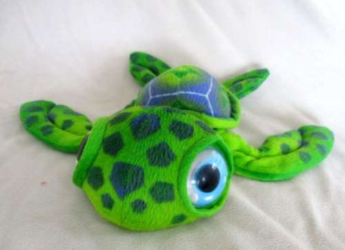 A CUTE TURTLE WITH BIG, BEAUTIFUL EYES!