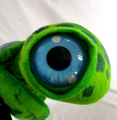 A CUTE TURTLE WITH BIG, BEAUTIFUL EYES!