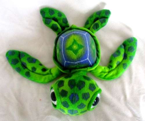 A CUTE TURTLE WITH BIG, BEAUTIFUL EYES!