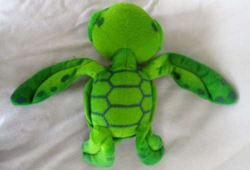 A CUTE TURTLE WITH BIG, BEAUTIFUL EYES!