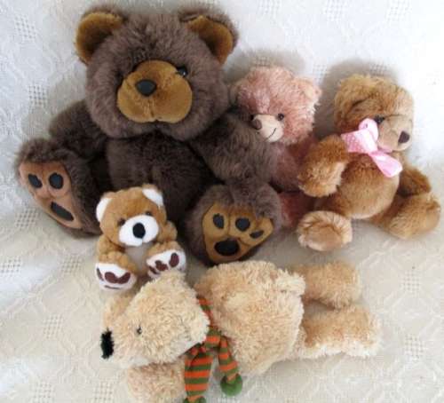 A BUNCH OF SIXTEEN SOFT, CLEAN TEDDY BEARS