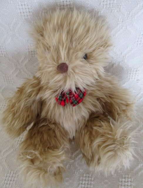 A CUTE LONG-HAIRED BEAR WITH A DECIDEDLY WEASEL-LIKE FACE!