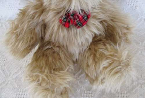 A CUTE LONG-HAIRED BEAR WITH A DECIDEDLY WEASEL-LIKE FACE!